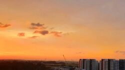 A Treasure Trove (D19), Condominium #586097531